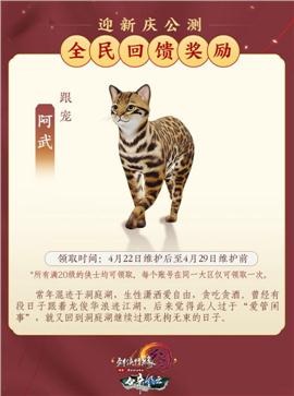 漠北天龙八部私服